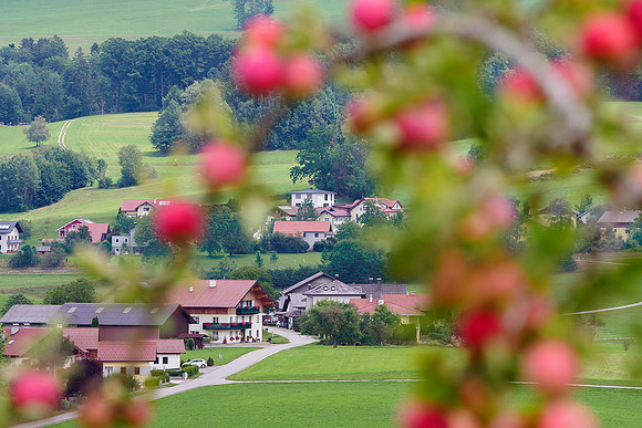 Oostenrijk, augustus 2019, Bart Fotografie-042