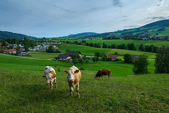 Oostenrijk, augustus 2019, Bart Fotografie-045