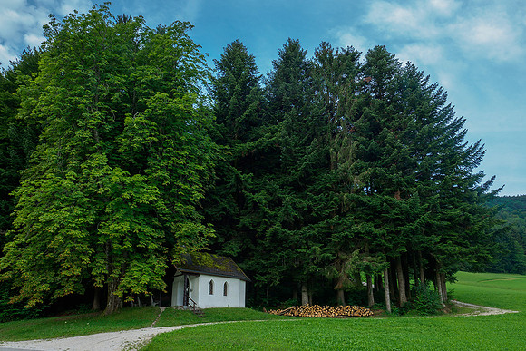Oostenrijk, augustus 2019, Bart Fotografie-049