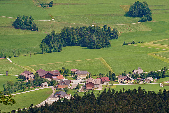 Oostenrijk, augustus 2019, Bart Fotografie-077