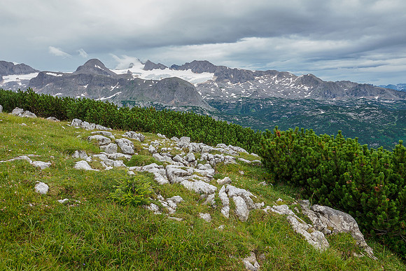 Oostenrijk, augustus 2019, Bart Fotografie-094