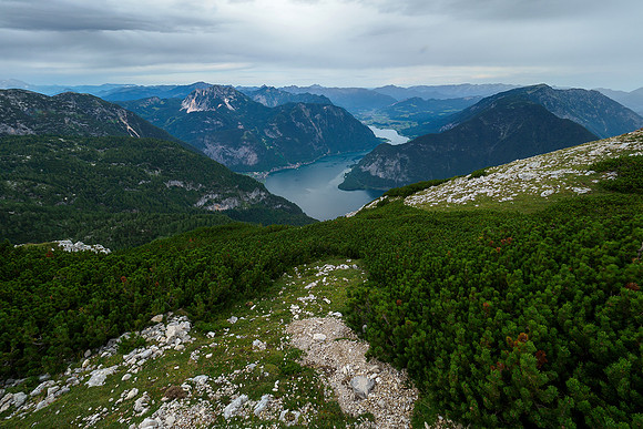 Oostenrijk, augustus 2019, Bart Fotografie-096