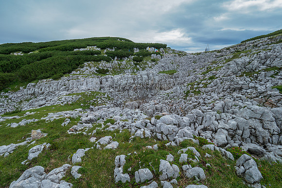 Oostenrijk, augustus 2019, Bart Fotografie-100