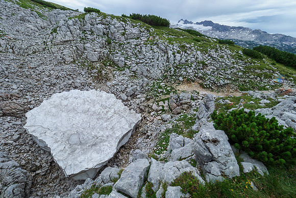 Oostenrijk, augustus 2019, Bart Fotografie-104