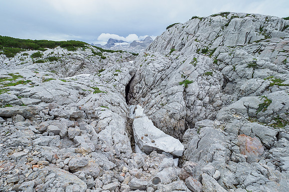 Oostenrijk, augustus 2019, Bart Fotografie-113