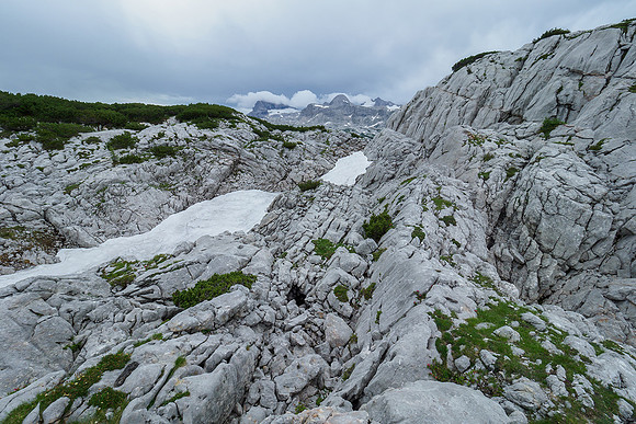 Oostenrijk, augustus 2019, Bart Fotografie-115
