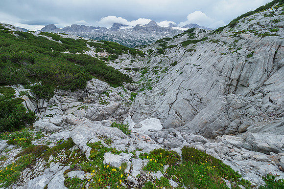 Oostenrijk, augustus 2019, Bart Fotografie-116