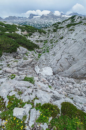 Oostenrijk, augustus 2019, Bart Fotografie-117
