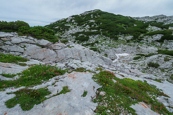 Oostenrijk, augustus 2019, Bart Fotografie-118