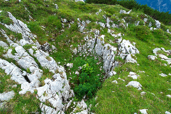 Oostenrijk, augustus 2019, Bart Fotografie-120