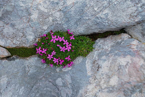 Oostenrijk, augustus 2019, Bart Fotografie-122