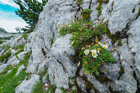 Oostenrijk, augustus 2019, Bart Fotografie-125