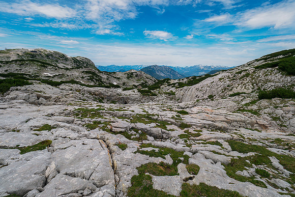 Oostenrijk, augustus 2019, Bart Fotografie-128