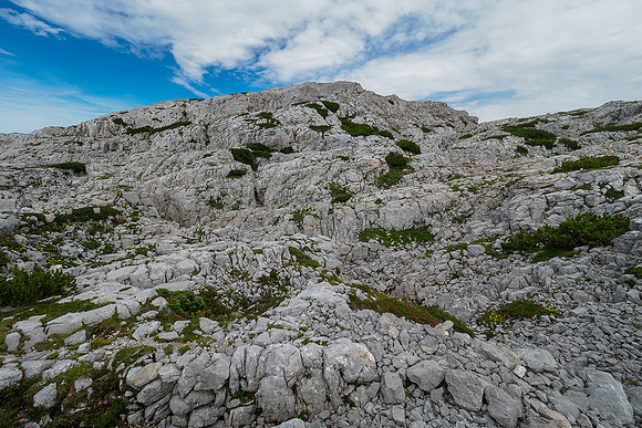 Oostenrijk, augustus 2019, Bart Fotografie-129