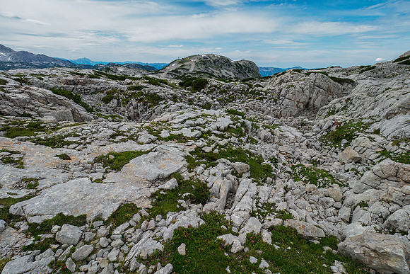 Oostenrijk, augustus 2019, Bart Fotografie-130