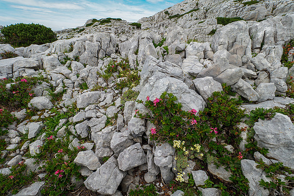 Oostenrijk, augustus 2019, Bart Fotografie-131