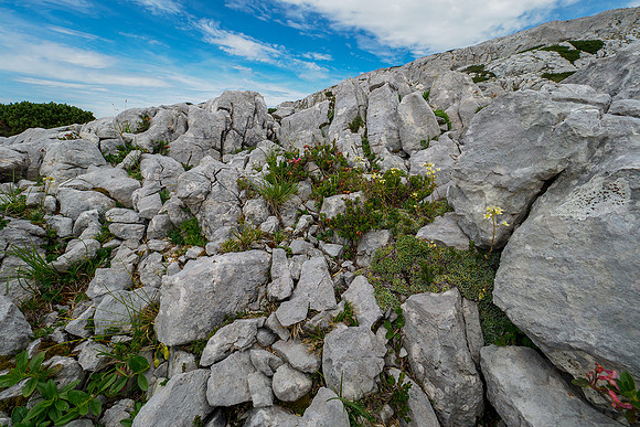 Oostenrijk, augustus 2019, Bart Fotografie-132