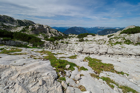 Oostenrijk, augustus 2019, Bart Fotografie-136