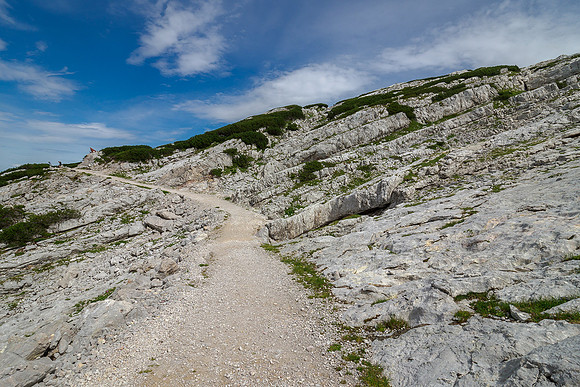 Oostenrijk, augustus 2019, Bart Fotografie-138