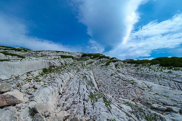 Oostenrijk, augustus 2019, Bart Fotografie-140