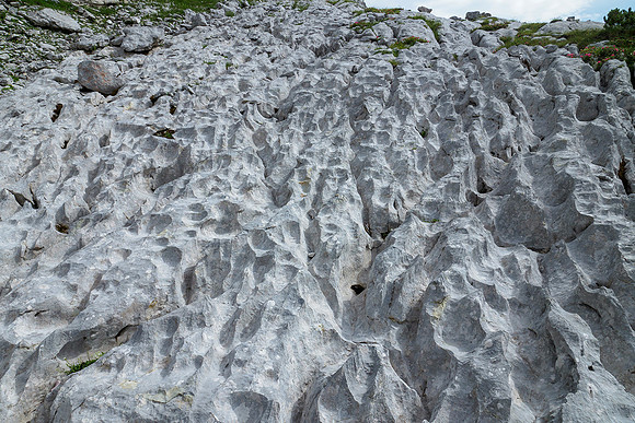 Oostenrijk, augustus 2019, Bart Fotografie-141