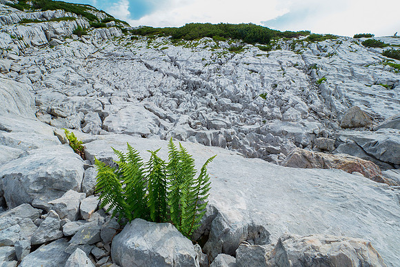 Oostenrijk, augustus 2019, Bart Fotografie-142