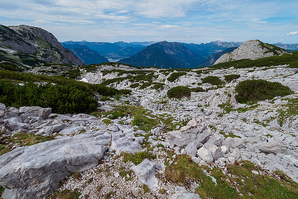 Oostenrijk, augustus 2019, Bart Fotografie-143