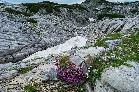 Oostenrijk, augustus 2019, Bart Fotografie-145