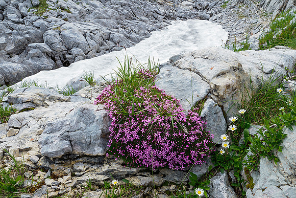 Oostenrijk, augustus 2019, Bart Fotografie-146