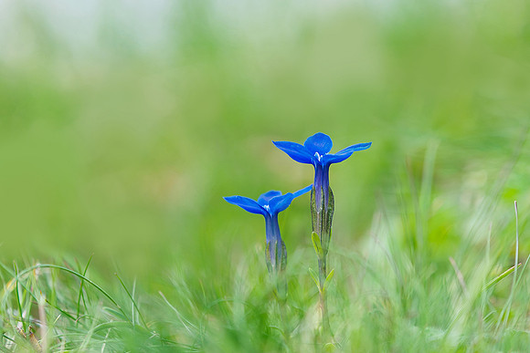 Oostenrijk, augustus 2019, Bart Fotografie-155