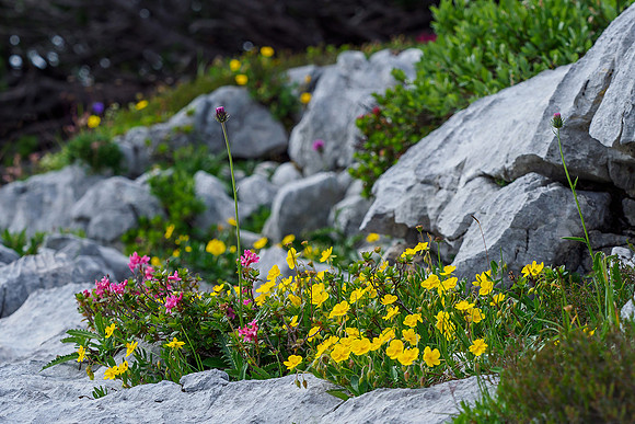 Oostenrijk, augustus 2019, Bart Fotografie-156