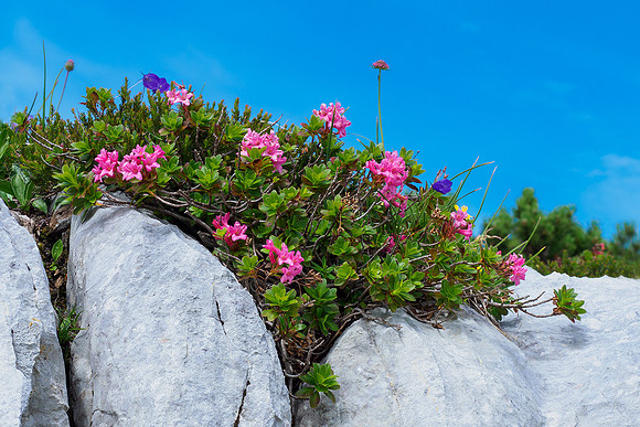 Oostenrijk, augustus 2019, Bart Fotografie-158