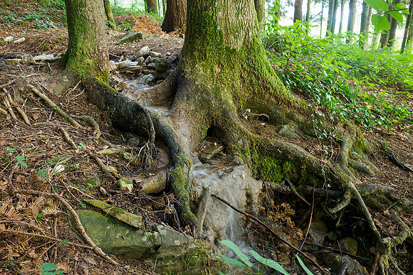 Oostenrijk, augustus 2019, Bart Fotografie-160