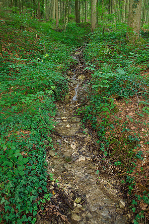 Oostenrijk, augustus 2019, Bart Fotografie-161