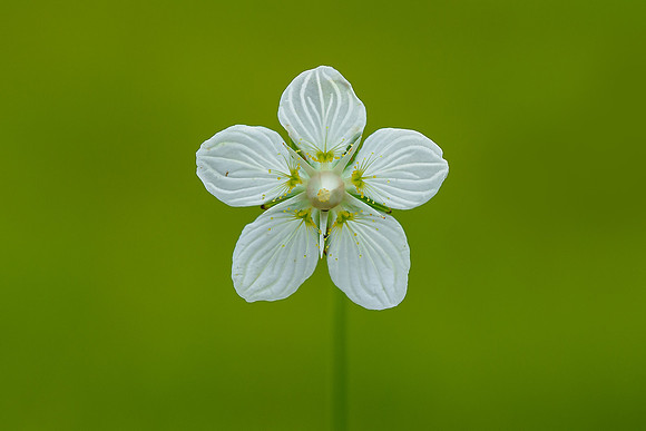 Oostenrijk, augustus 2019, Bart Fotografie-162
