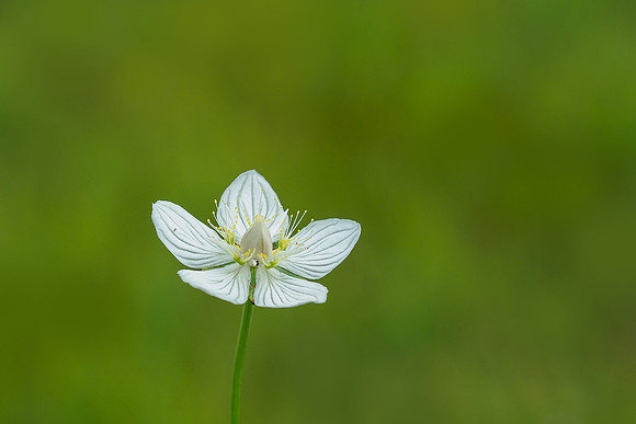 Oostenrijk, augustus 2019, Bart Fotografie-163