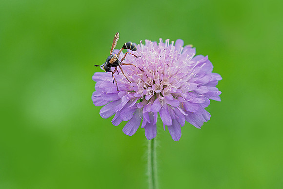 Oostenrijk, augustus 2019, Bart Fotografie-179