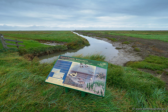 Friesland september 2020 Bart Fotografie-065