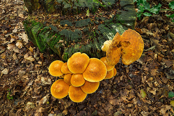 P9241929
