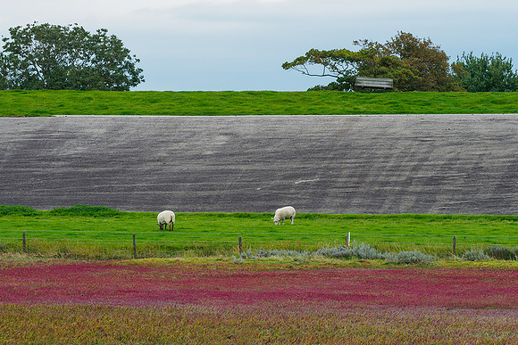 P9244333