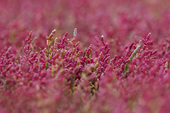 P9244358