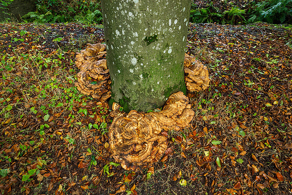 P9302359