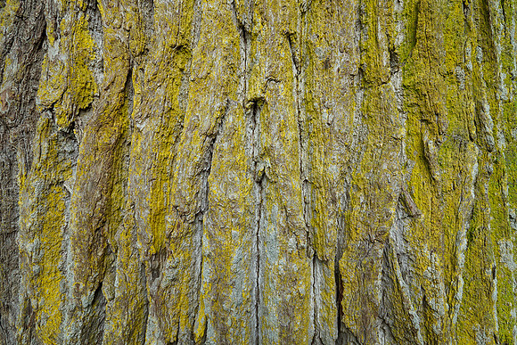 P9302371