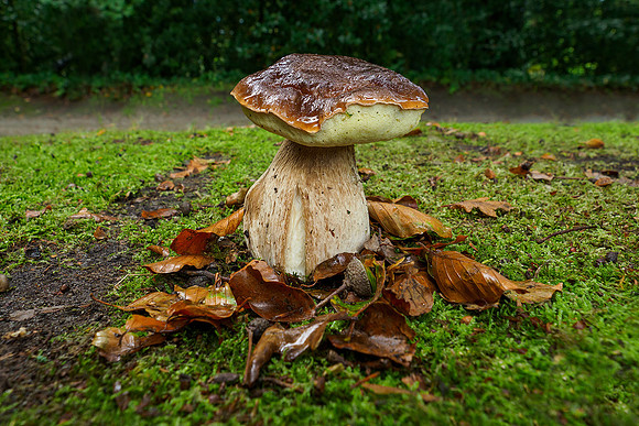 P9302379
