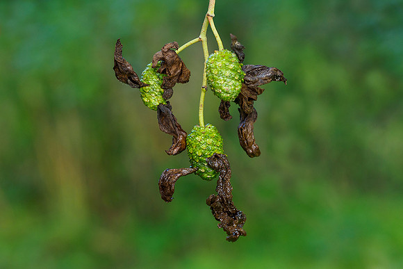 P9305677