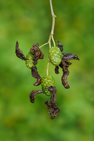 P9305708