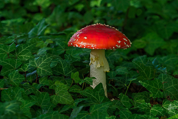P9305802