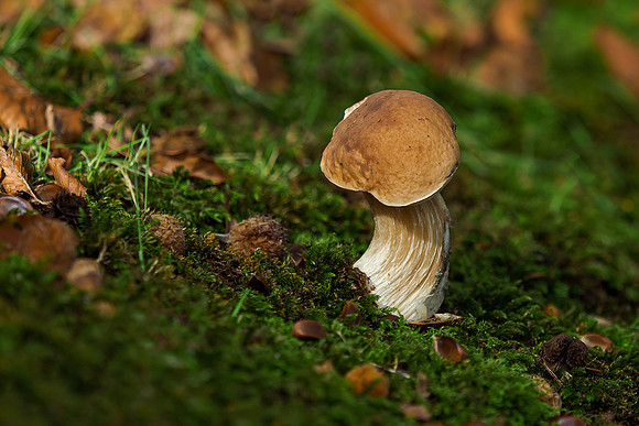 P9305818
