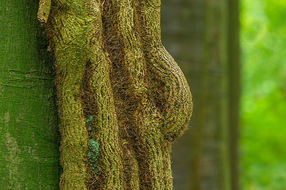 P9305842