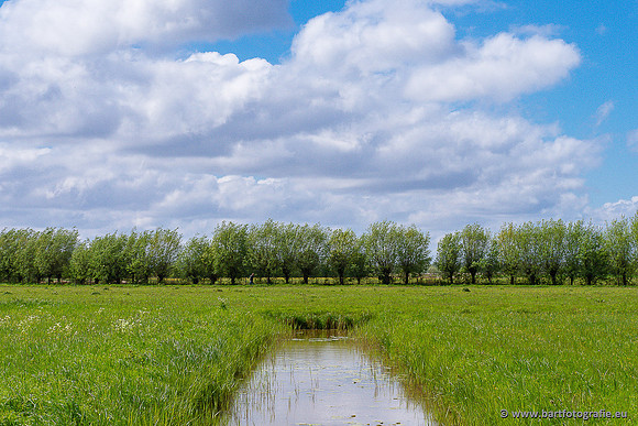 Akker en Weide Bart Fotografie-146